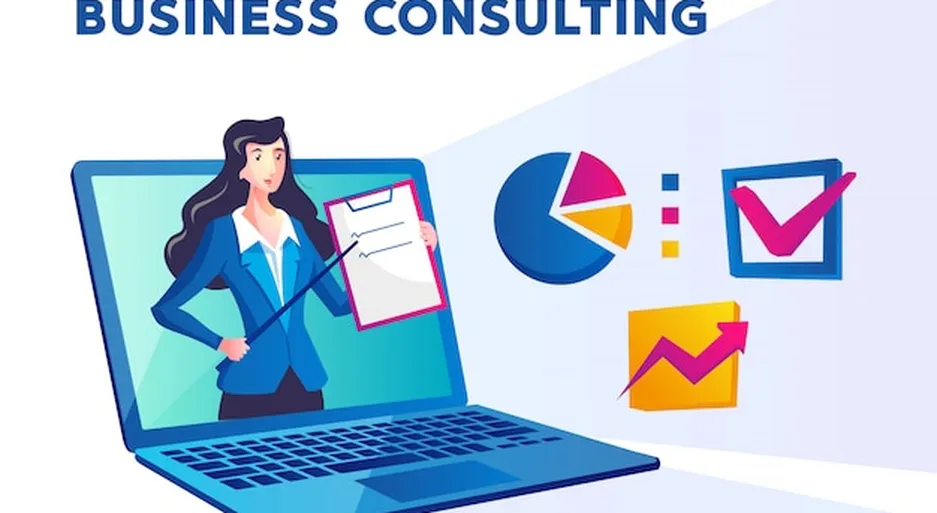 Entrepreneur online consultation